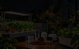 Setting Up Your First Indoor Grow Tent: A Beginner's Guide for NZ Growers