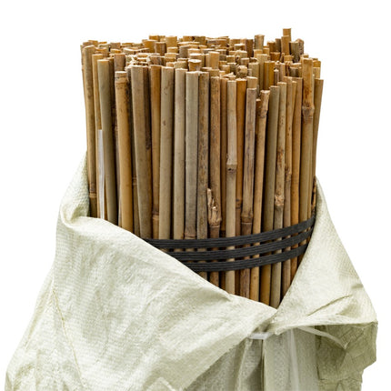 Bamboo Stakes