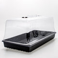 High Dome Propagator