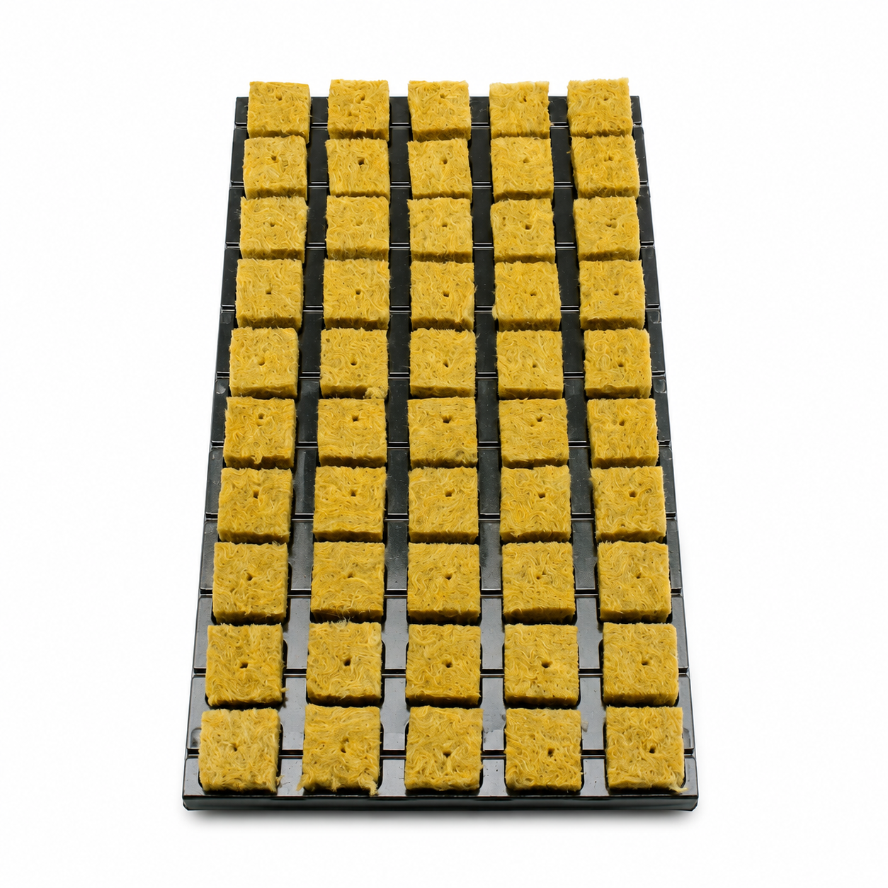 Cultilene Rockwool Tray 25mm (Small Cube)