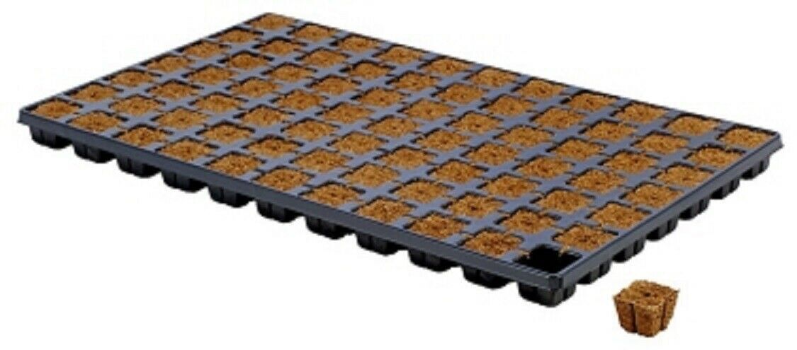Eazy Plug 77 Tray