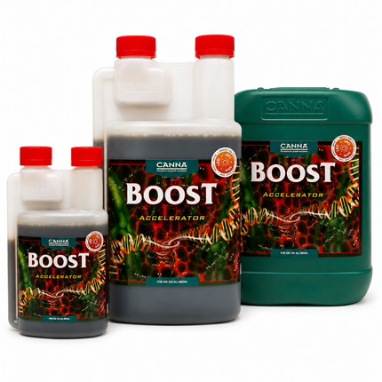 Canna Boost Accelerator