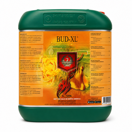House & Garden Bud-XL