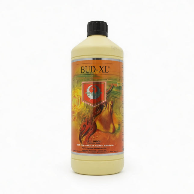 House & Garden Bud-XL