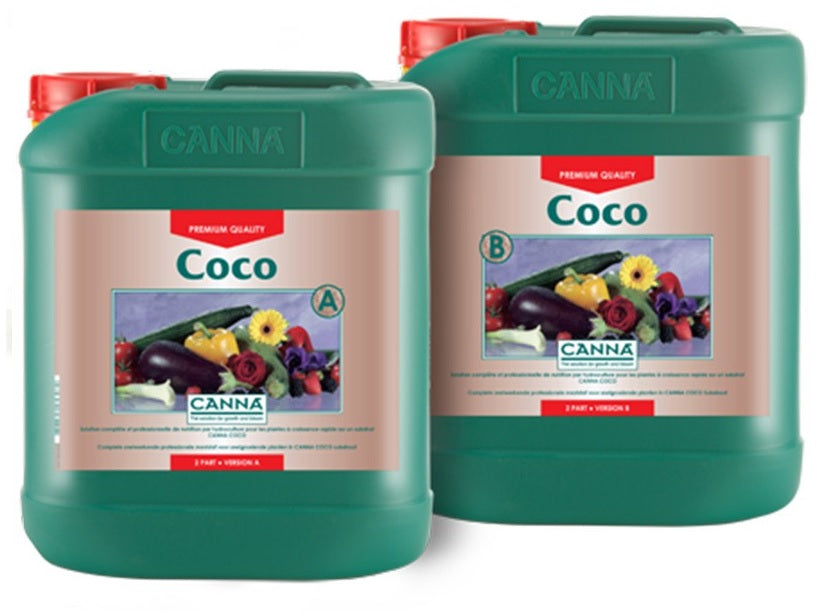 Canna Coco
