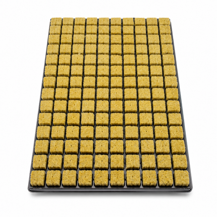 Cultilene Rockwool Tray 25mm (Small Cube)