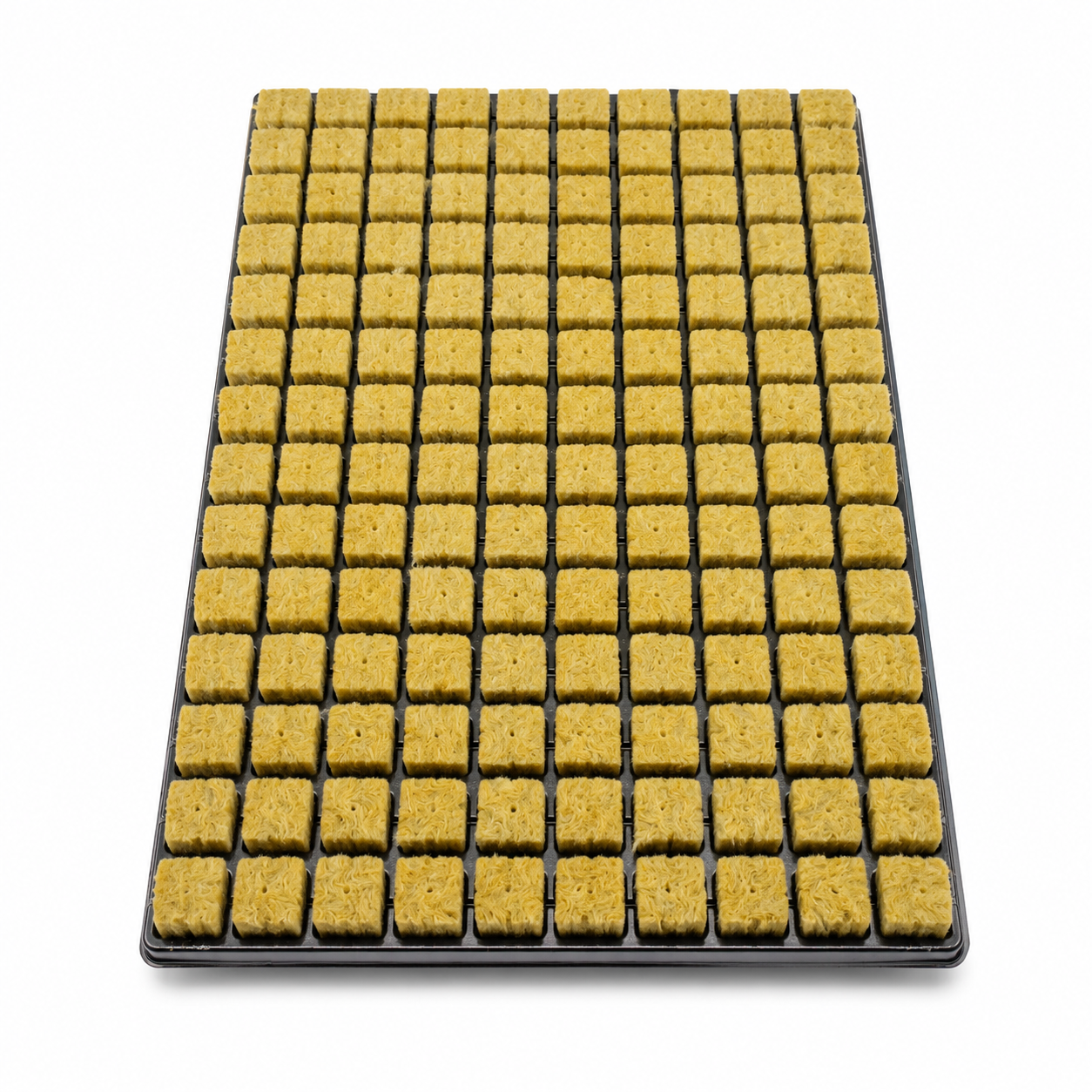 Cultilene Rockwool Tray 25mm (Small Cube)