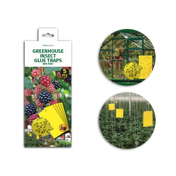 Sticky Trap 5 Pack