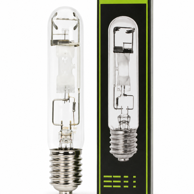 250W Metal Halide Conversion Bulb