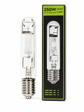250W Metal Halide Conversion Bulb