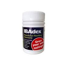 IBAdex Cloning Powder 25gm