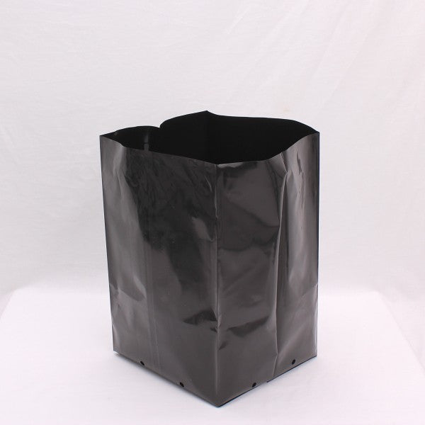 PB 40 (20L)