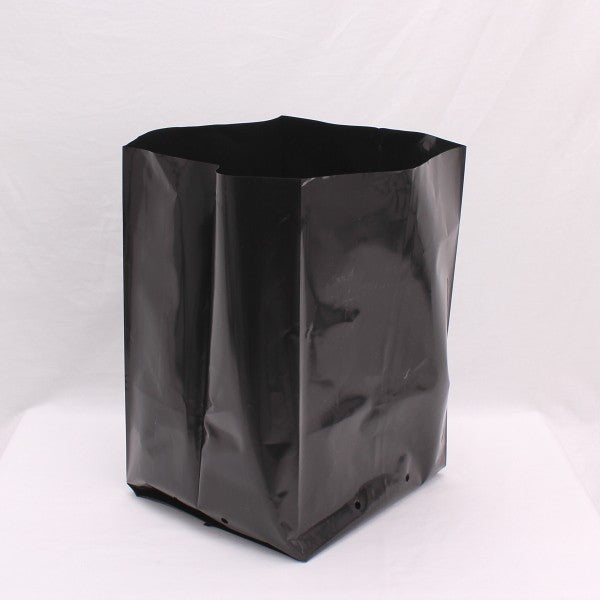 PB 60 (30L)