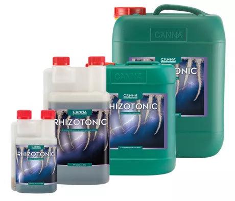 Canna Rhizotonic