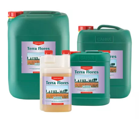 Canna Terra Flores