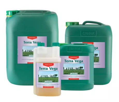Canna Terra Vega