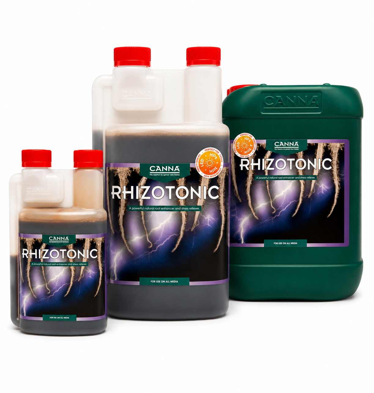 Canna Rhizotonic
