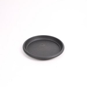 Tray Shallow Dish