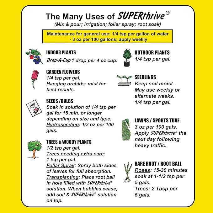 SuperThrive