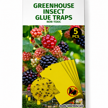 Sticky Trap 5 Pack