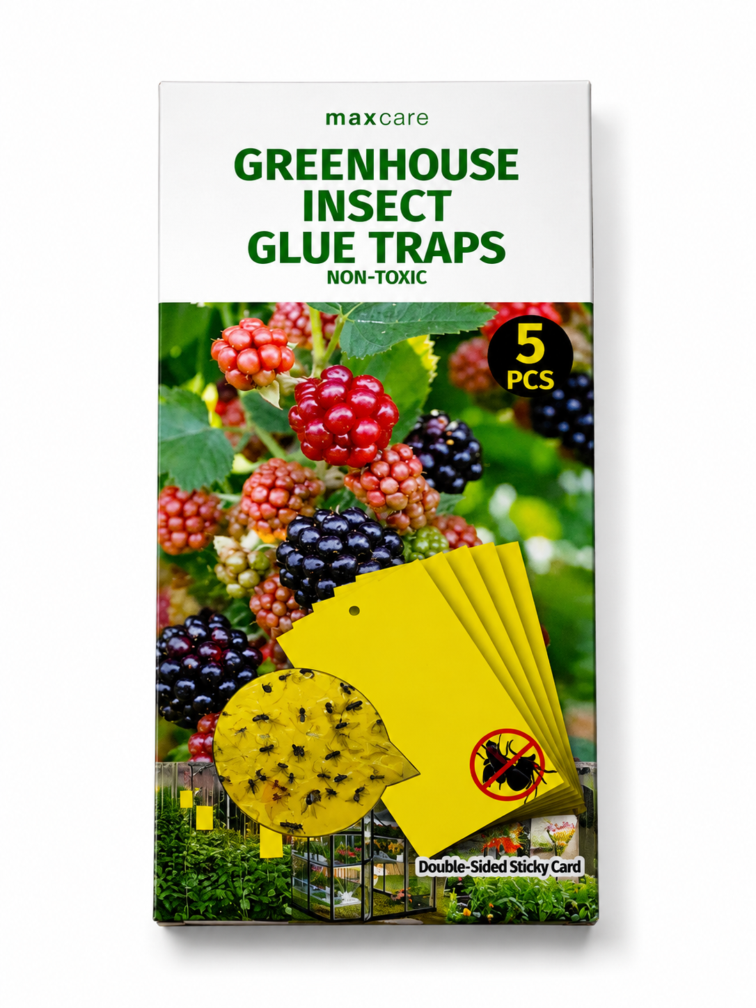 Sticky Trap 5 Pack