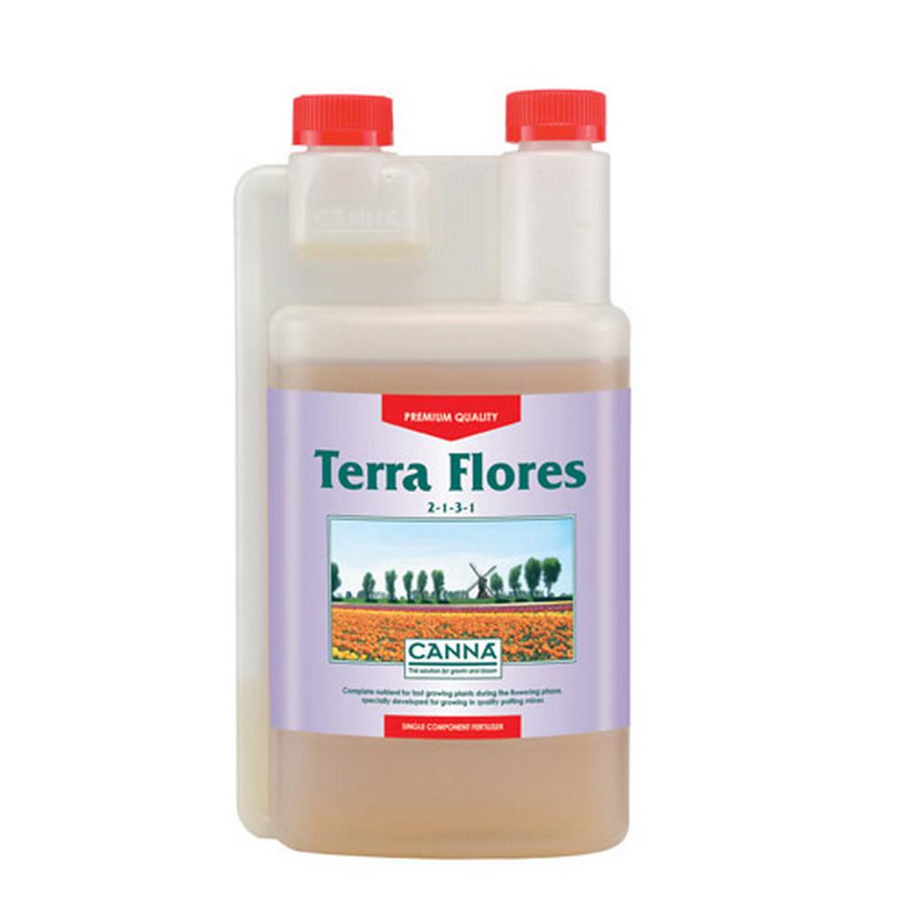Canna Terra Flores