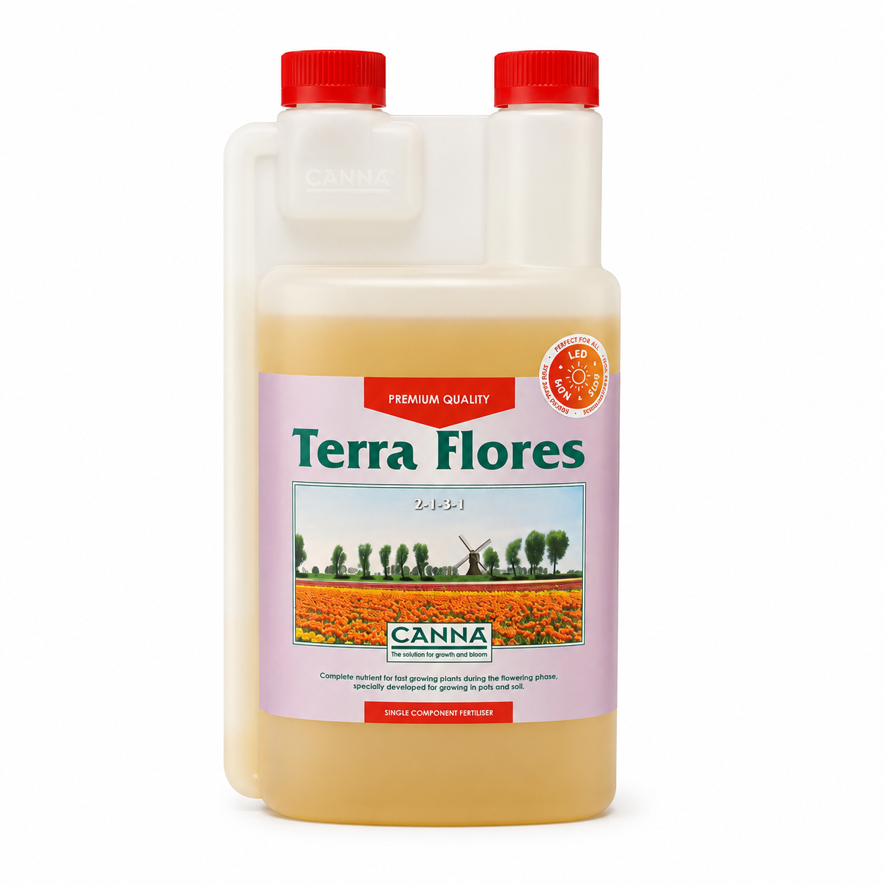 Canna Terra Flores
