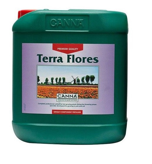 Canna Terra Flores