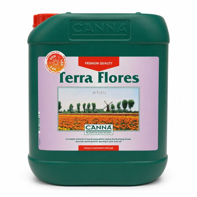 Canna Terra Flores