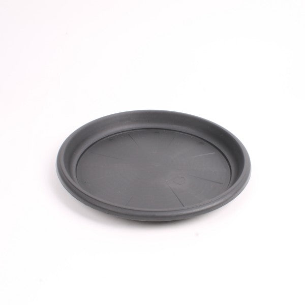 Tray Shallow Dish
